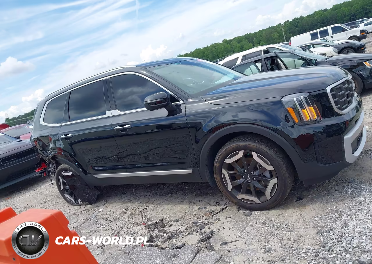 2025 Kia Telluride S VIN:5XYP64GC9SG631010 - 13