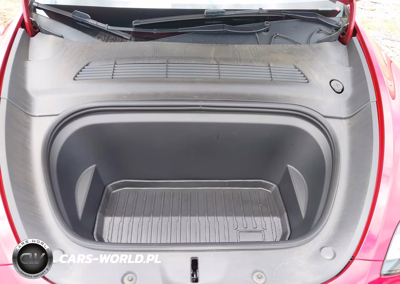 2023 Tesla Model Y Performance Dual Motor All-Wheel Drive VIN:7SAYGDEFXPF900678 - 10