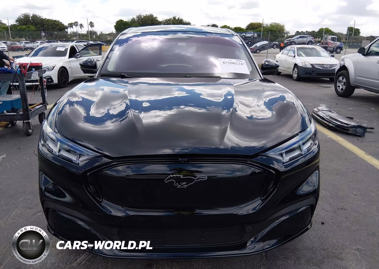 2021 Ford Mustang Mach-E Premium VIN:3FMTK3RM2MMA24121 - 13