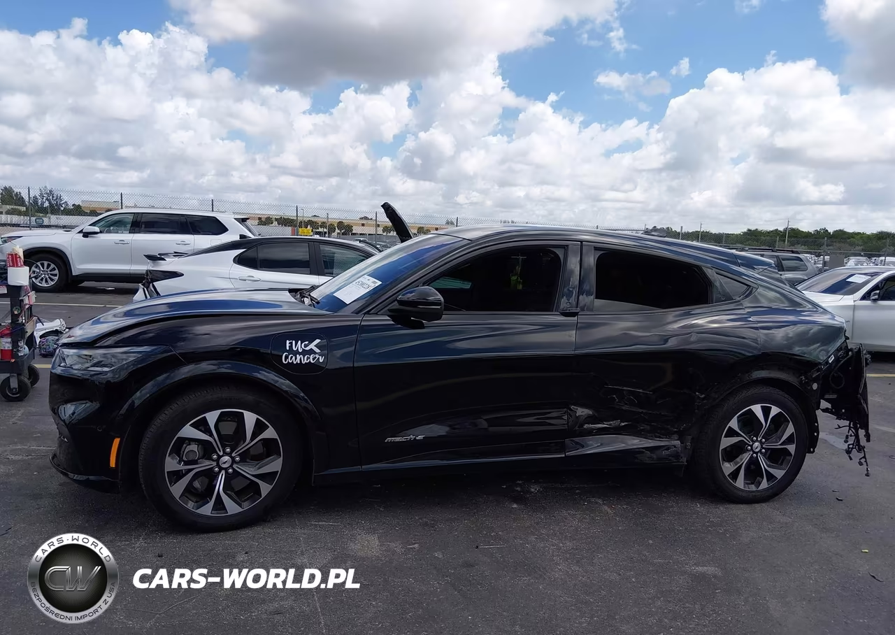 2021 Ford Mustang Mach-E Premium VIN:3FMTK3RM2MMA24121 - 15