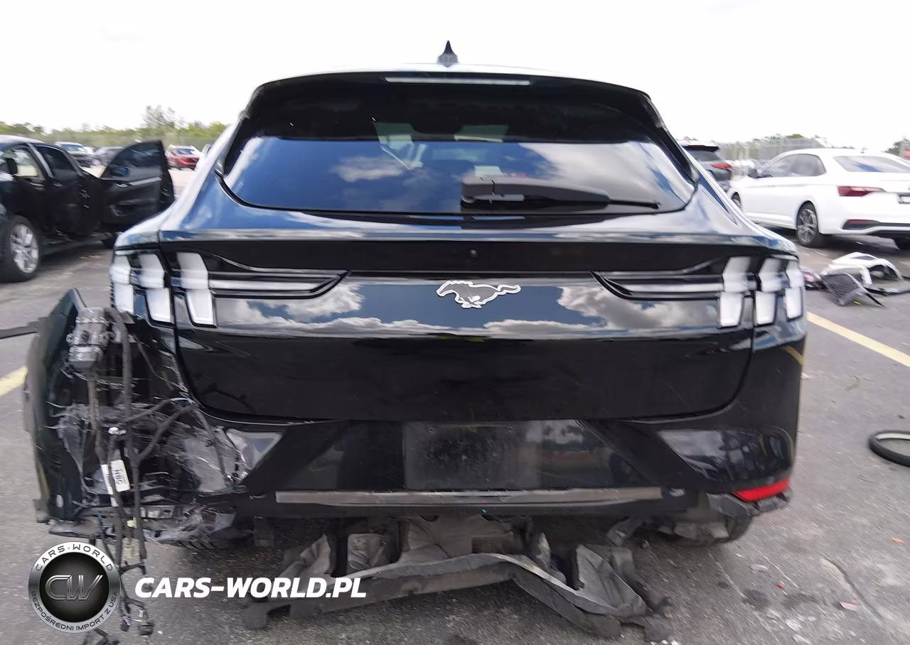 2021 Ford Mustang Mach-E Premium VIN:3FMTK3RM2MMA24121 - 17