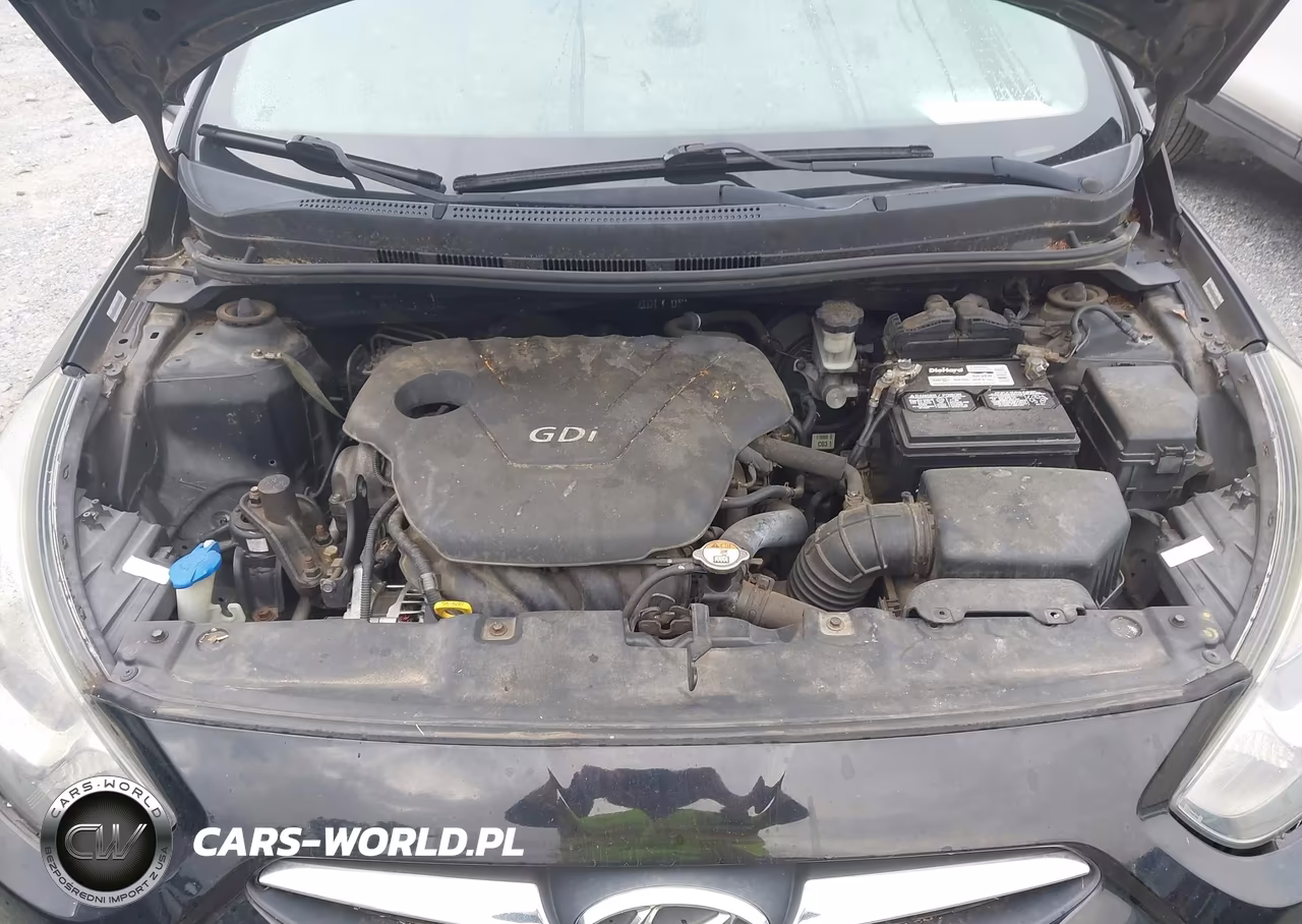 2012 Hyundai Accent Se VIN:KMHCU5AE9CU039879 - 10