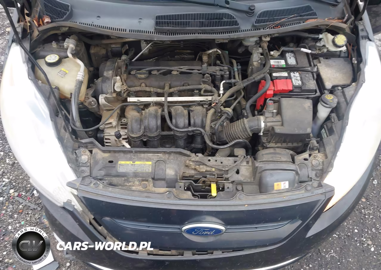 2011 Ford Fiesta Se VIN:3FADP4EJXBM174315 - 10
