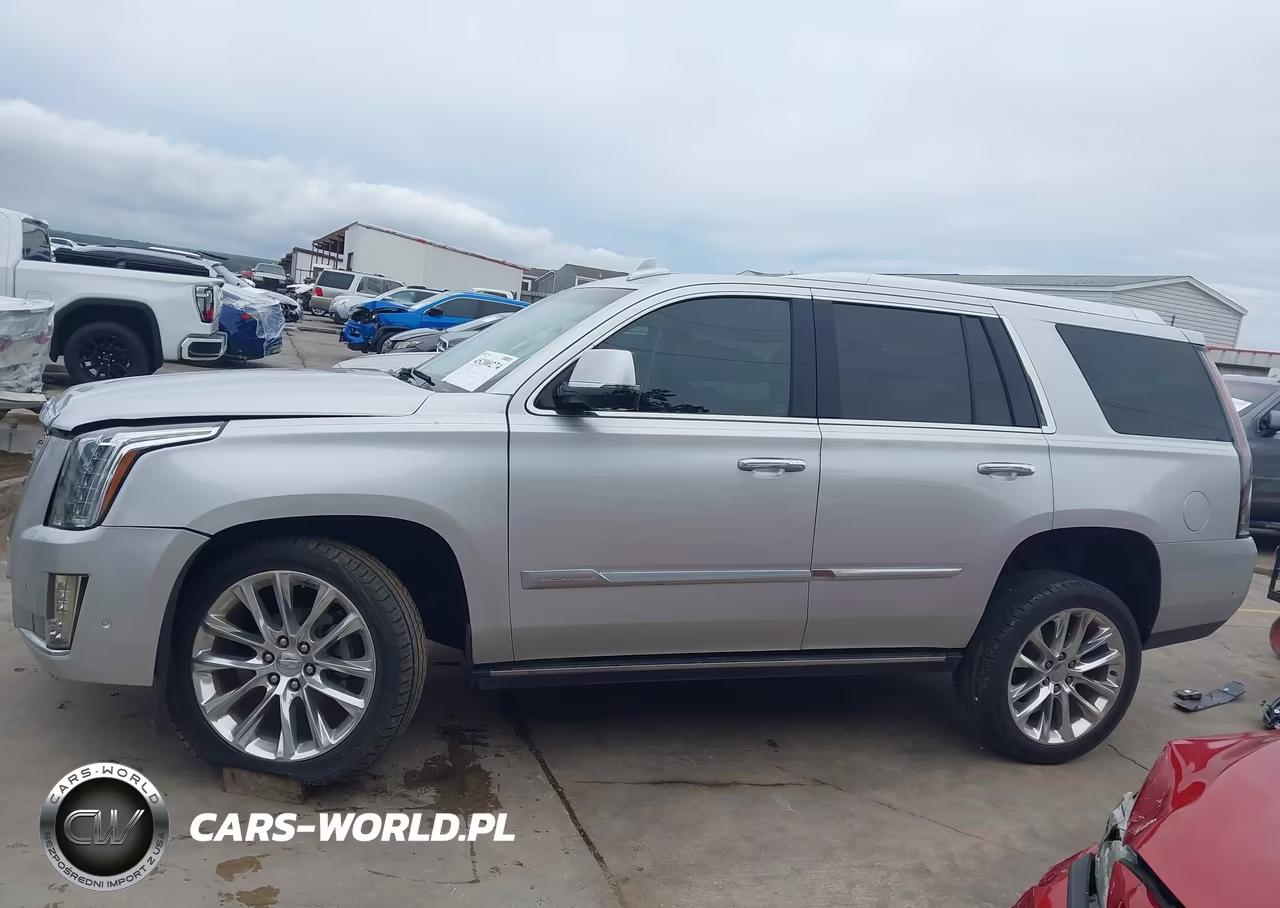 2019 Cadillac Escalade Premium Luxury VIN:1GYS3CKJ6KR109496 - 15