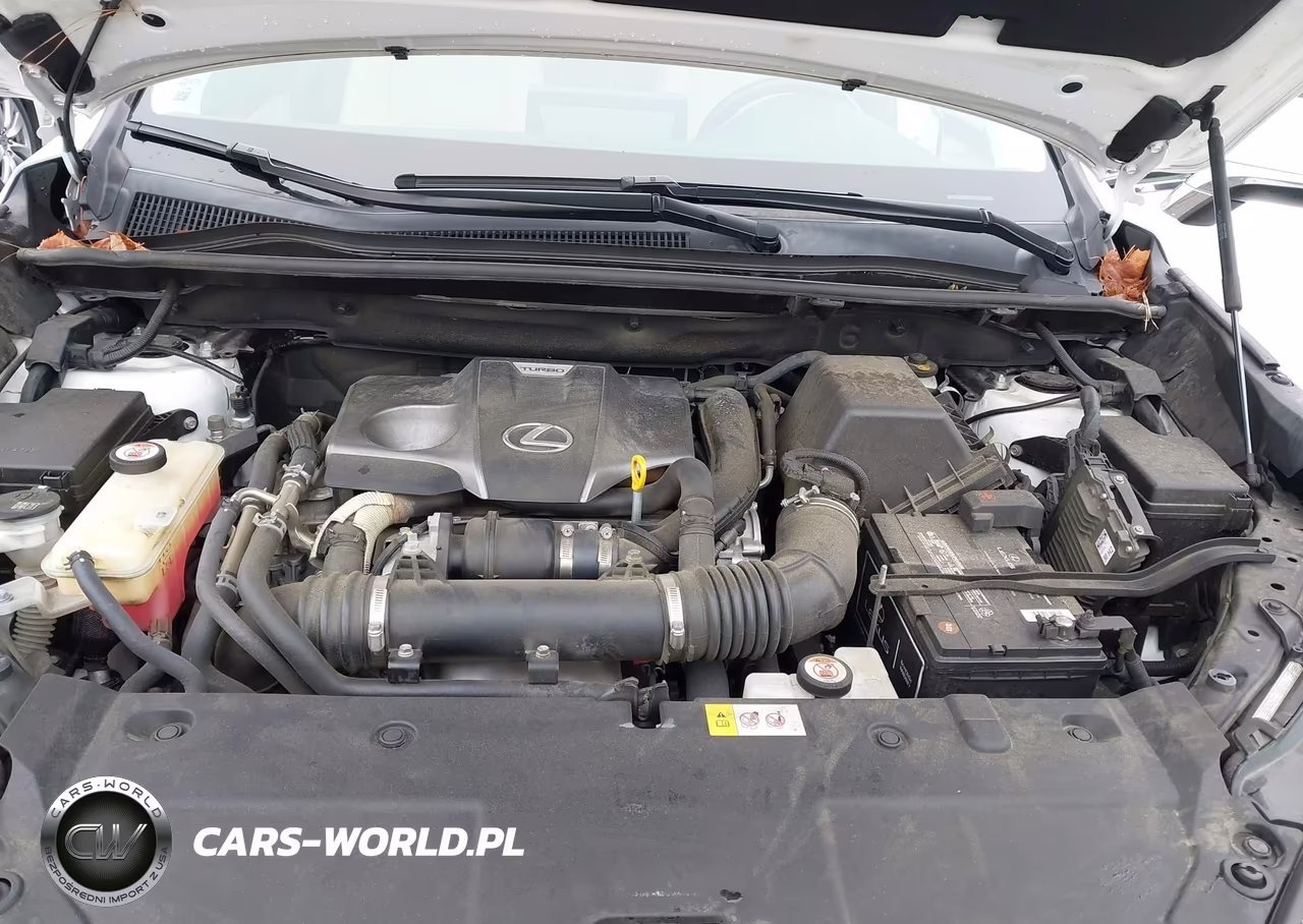 2018 Lexus Nx 300 VIN:JTJYARBZ0J2087143 - 10