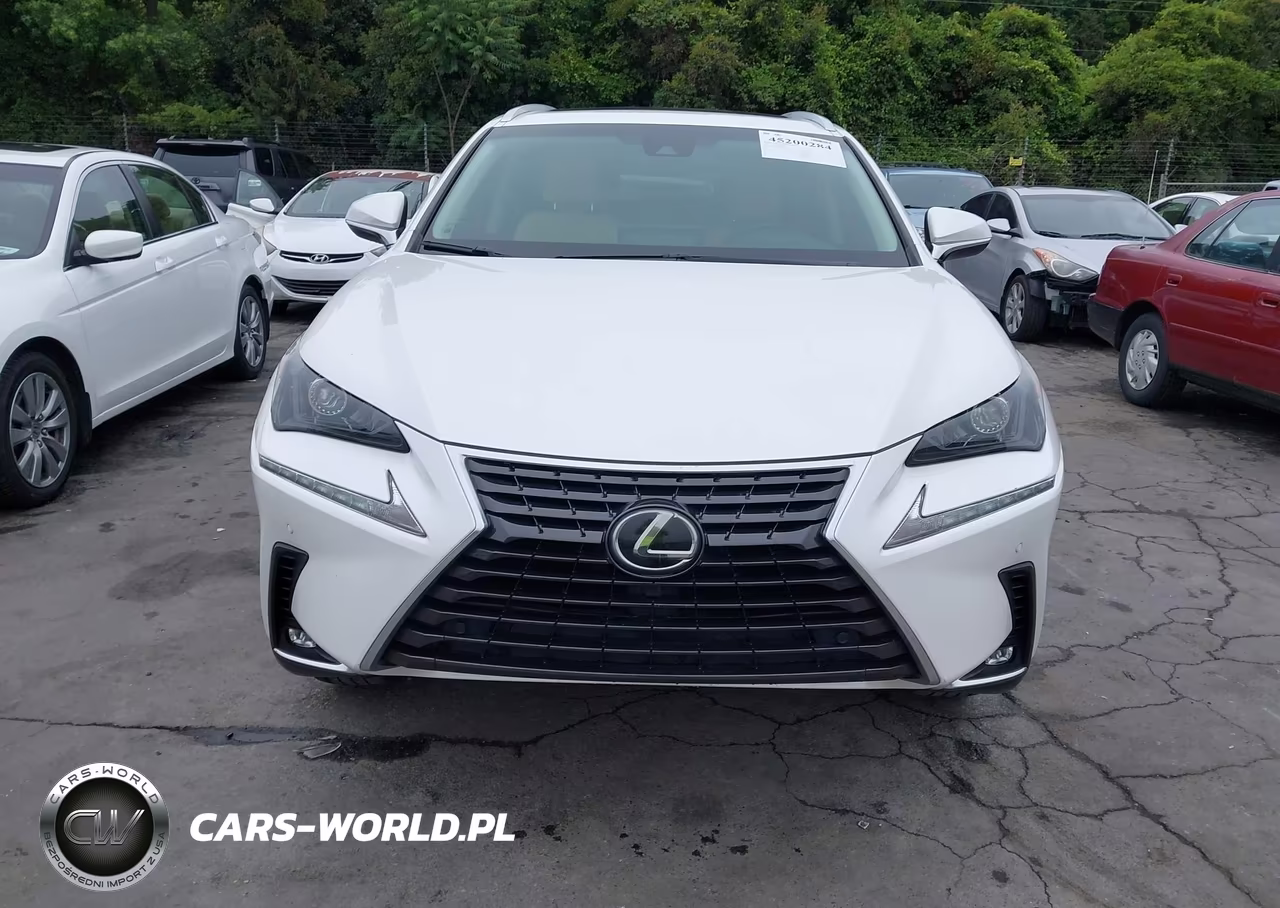 2018 Lexus Nx 300 VIN:JTJYARBZ0J2087143 - 12