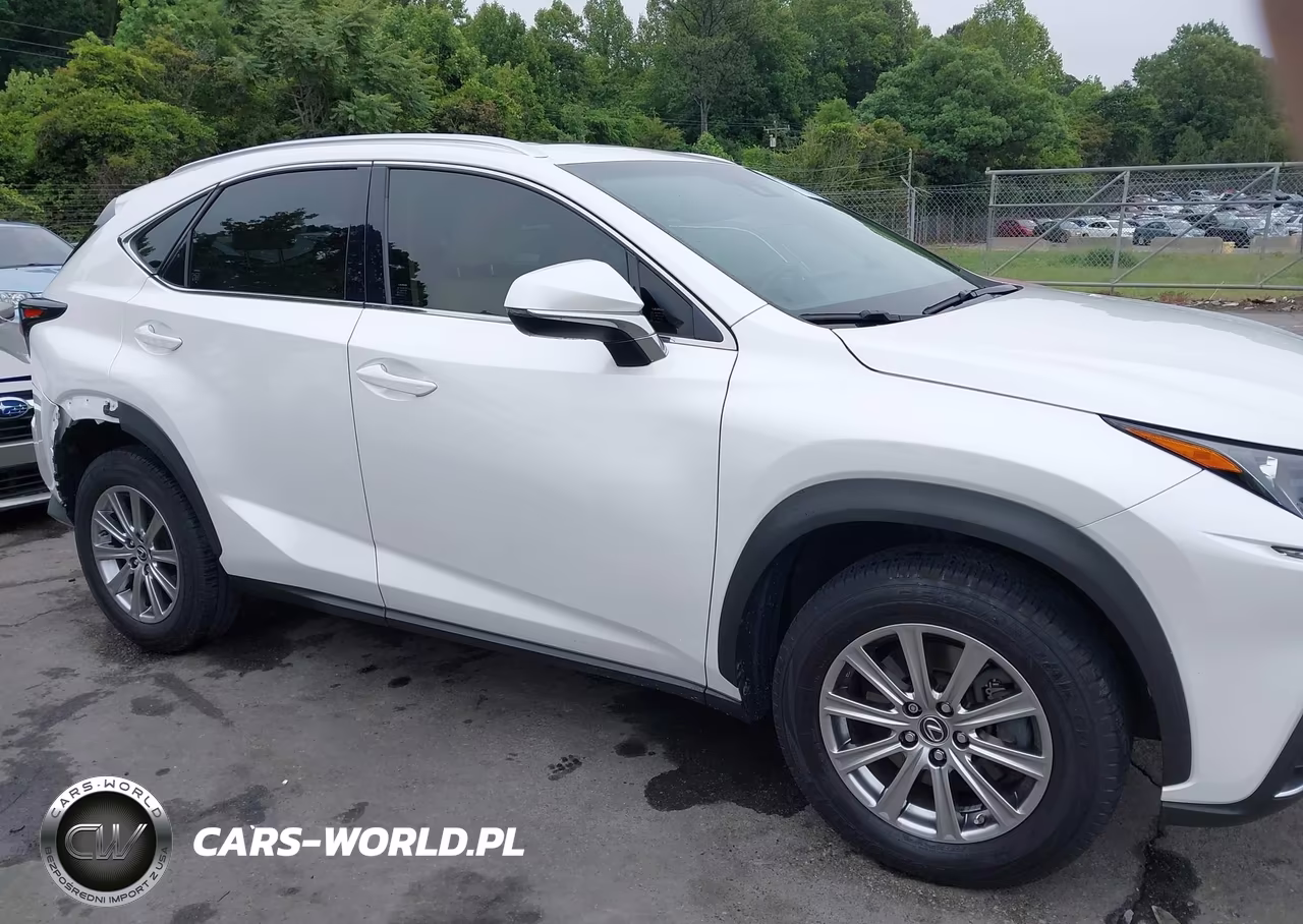 2018 Lexus Nx 300 VIN:JTJYARBZ0J2087143 - 13