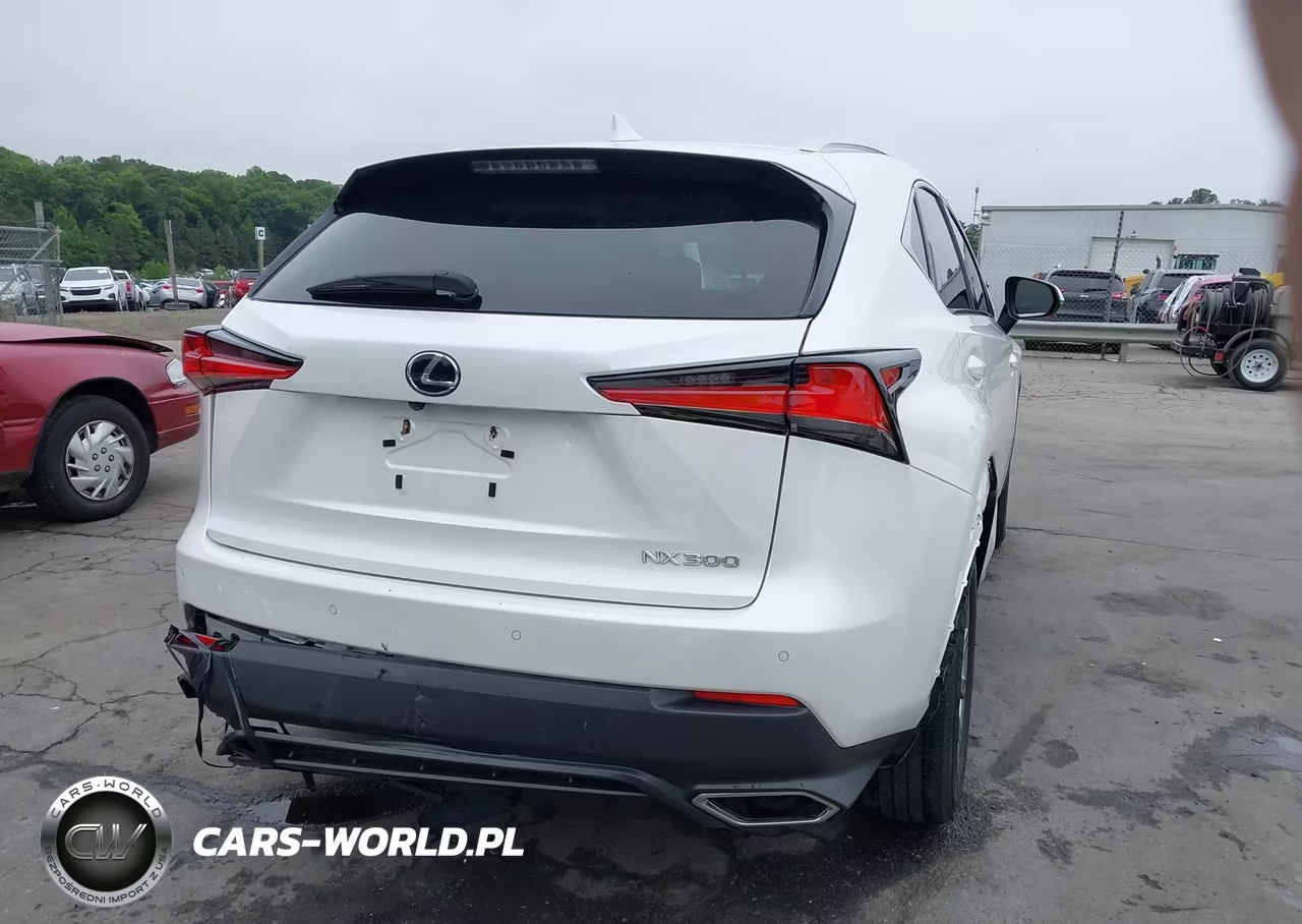 2018 Lexus Nx 300 VIN:JTJYARBZ0J2087143 - 16