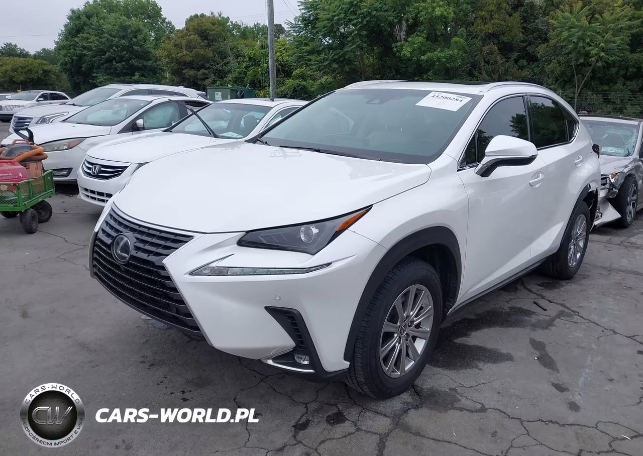 2018 Lexus Nx 300 VIN:JTJYARBZ0J2087143 - 2