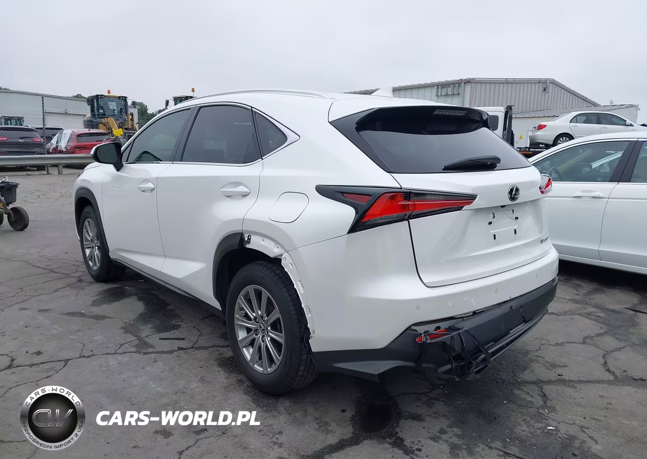 2018 Lexus Nx 300 VIN:JTJYARBZ0J2087143 - 3
