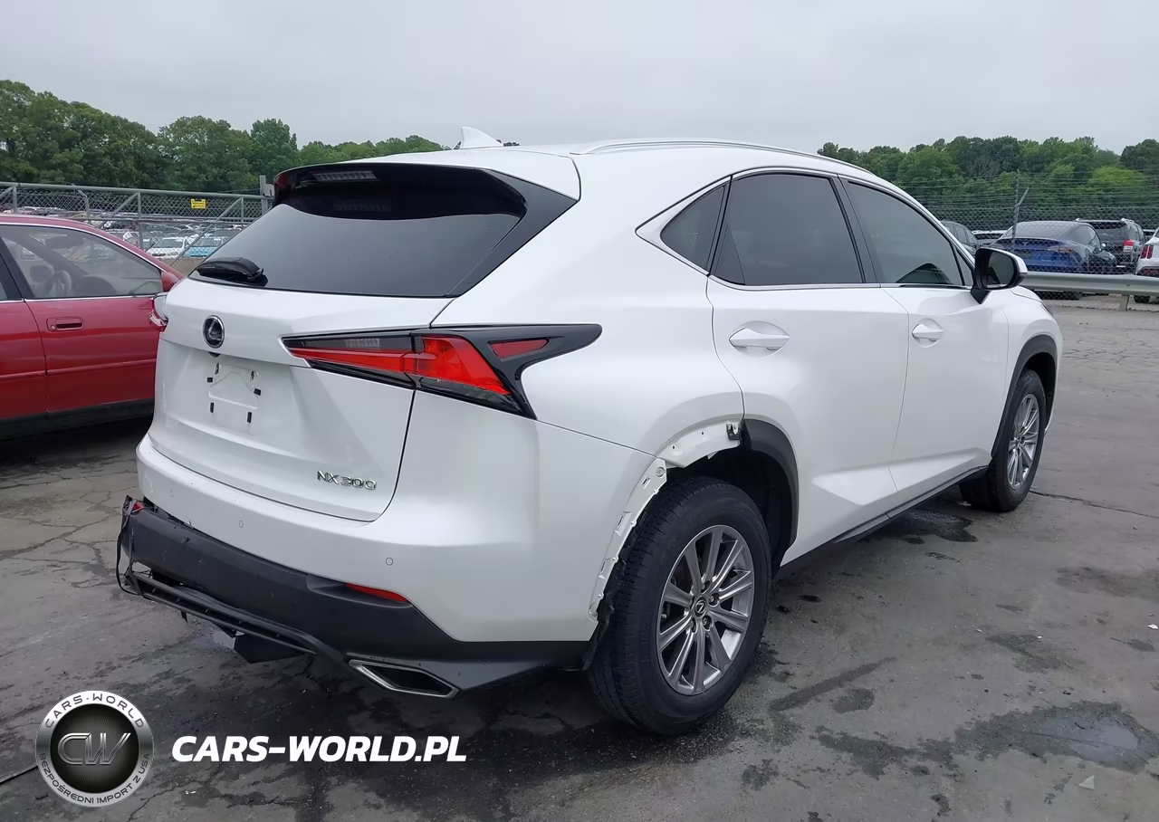 2018 Lexus Nx 300 VIN:JTJYARBZ0J2087143 - 4