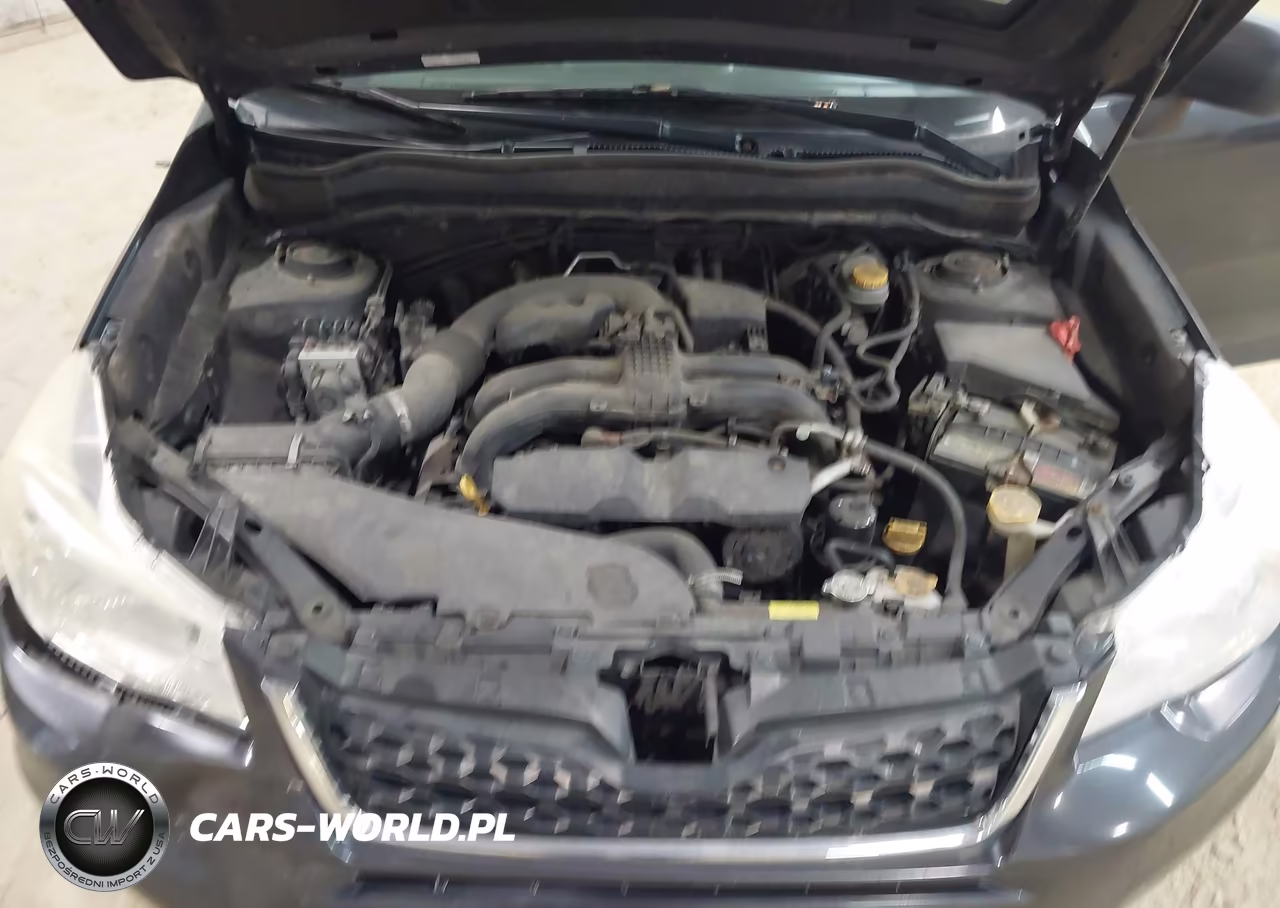 2014 Subaru Forester 2.5I Premium VIN:JF2SJAECXEH471307 - 10