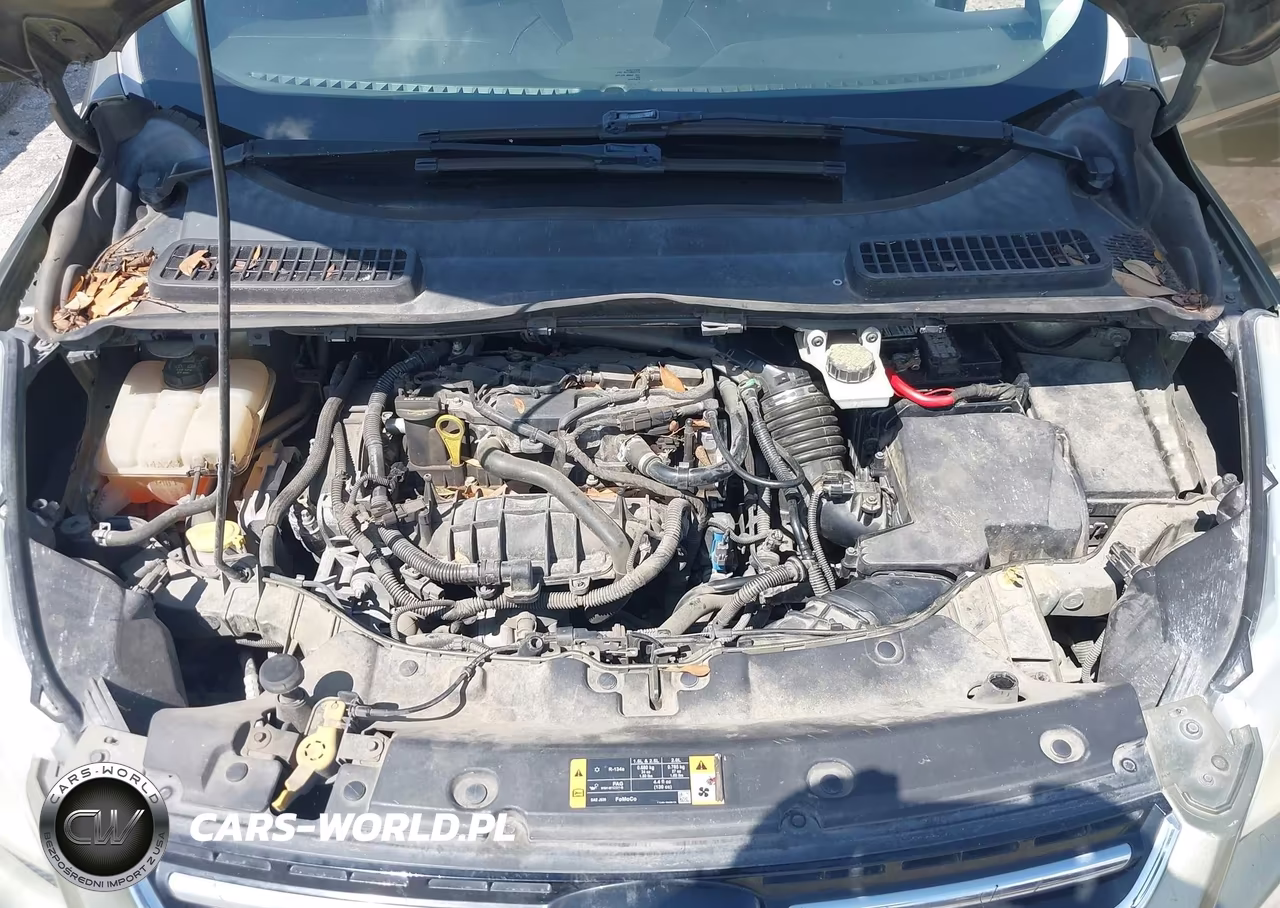 2013 Ford Escape Sel VIN:1FMCU0HX1DUC47928 - 10