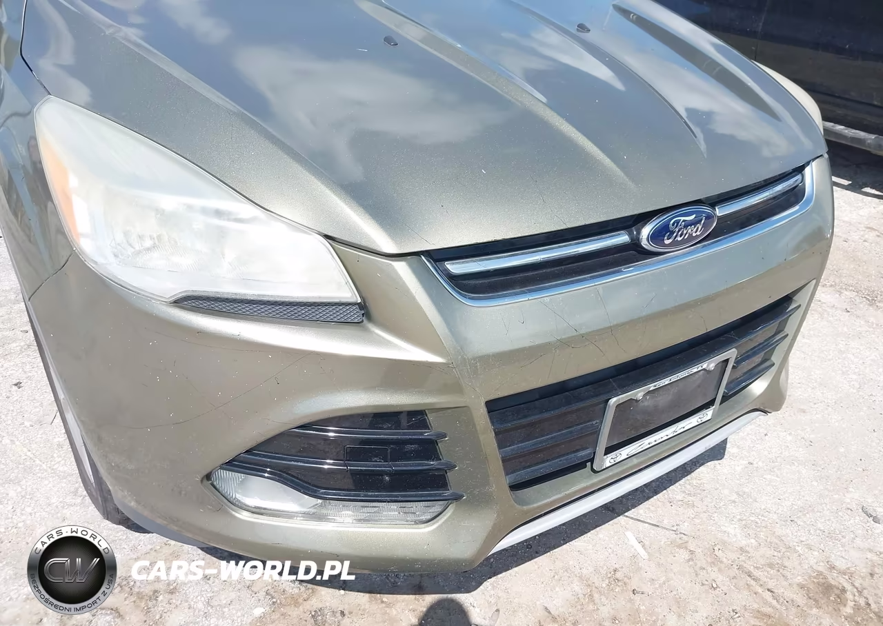 2013 Ford Escape Sel VIN:1FMCU0HX1DUC47928 - 16