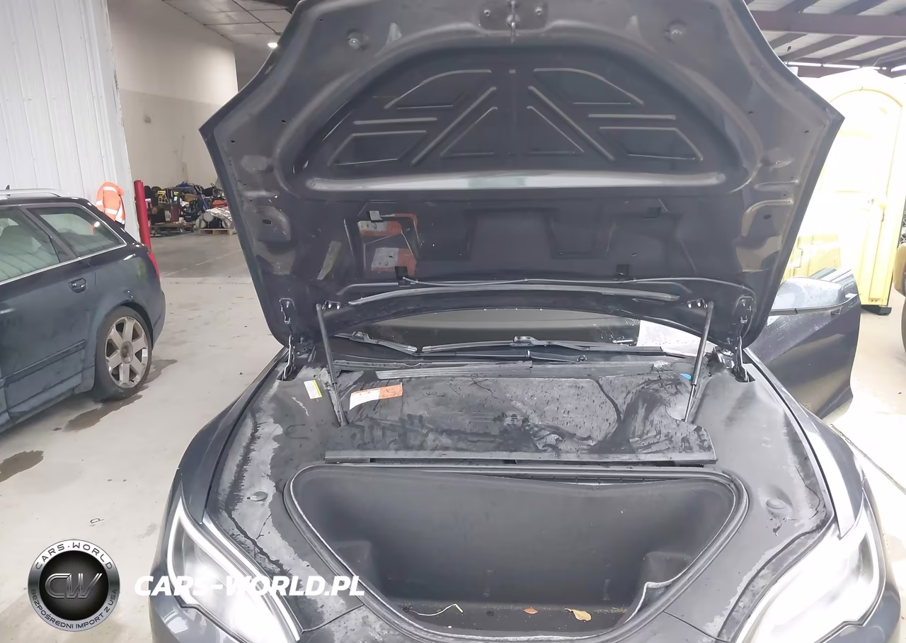2016 Tesla Model S 90D-P100D-P85D-P90D VIN:5YJSA1E47GF159553 - 10