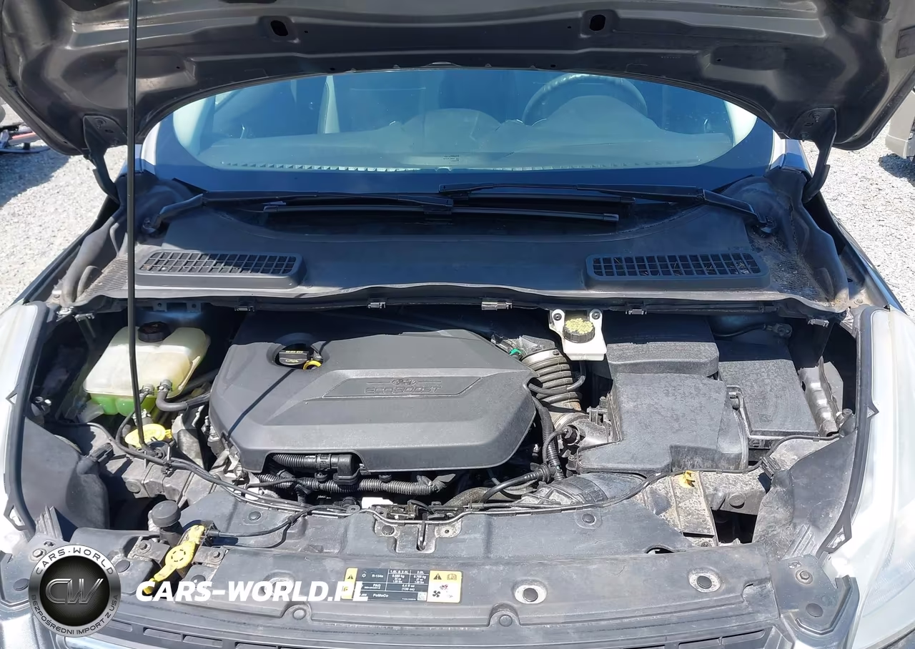2014 Ford Escape Se VIN:1FMCU9GX5EUE14198 - 10