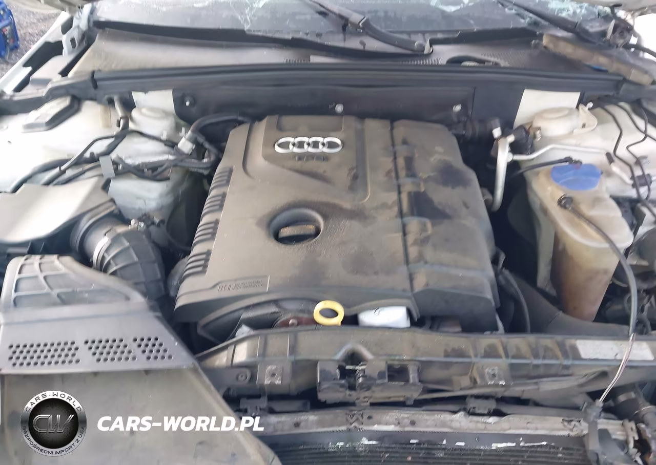 2010 Audi A4 2.0T Premium VIN:WAUEFAFL1AN010890 - 10