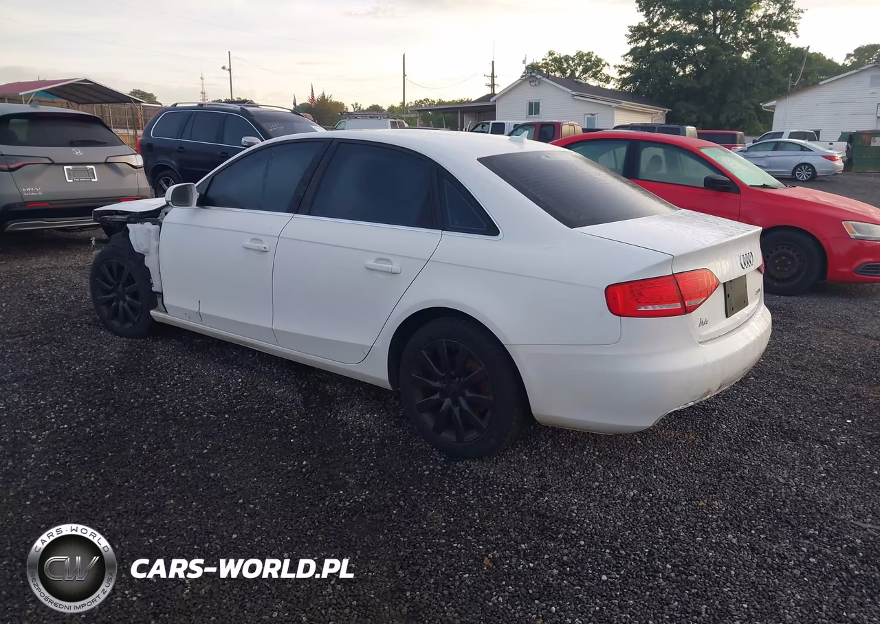 2010 Audi A4 2.0T Premium VIN:WAUEFAFL1AN010890 - 3