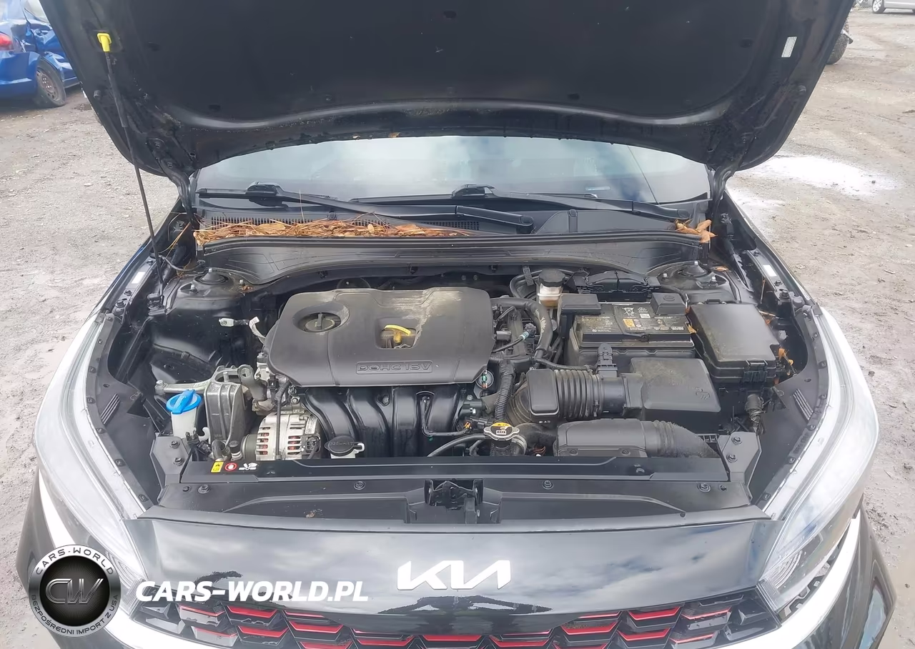 2023 Kia Forte Gt-Line VIN:3KPF54AD7PE614162 - 10