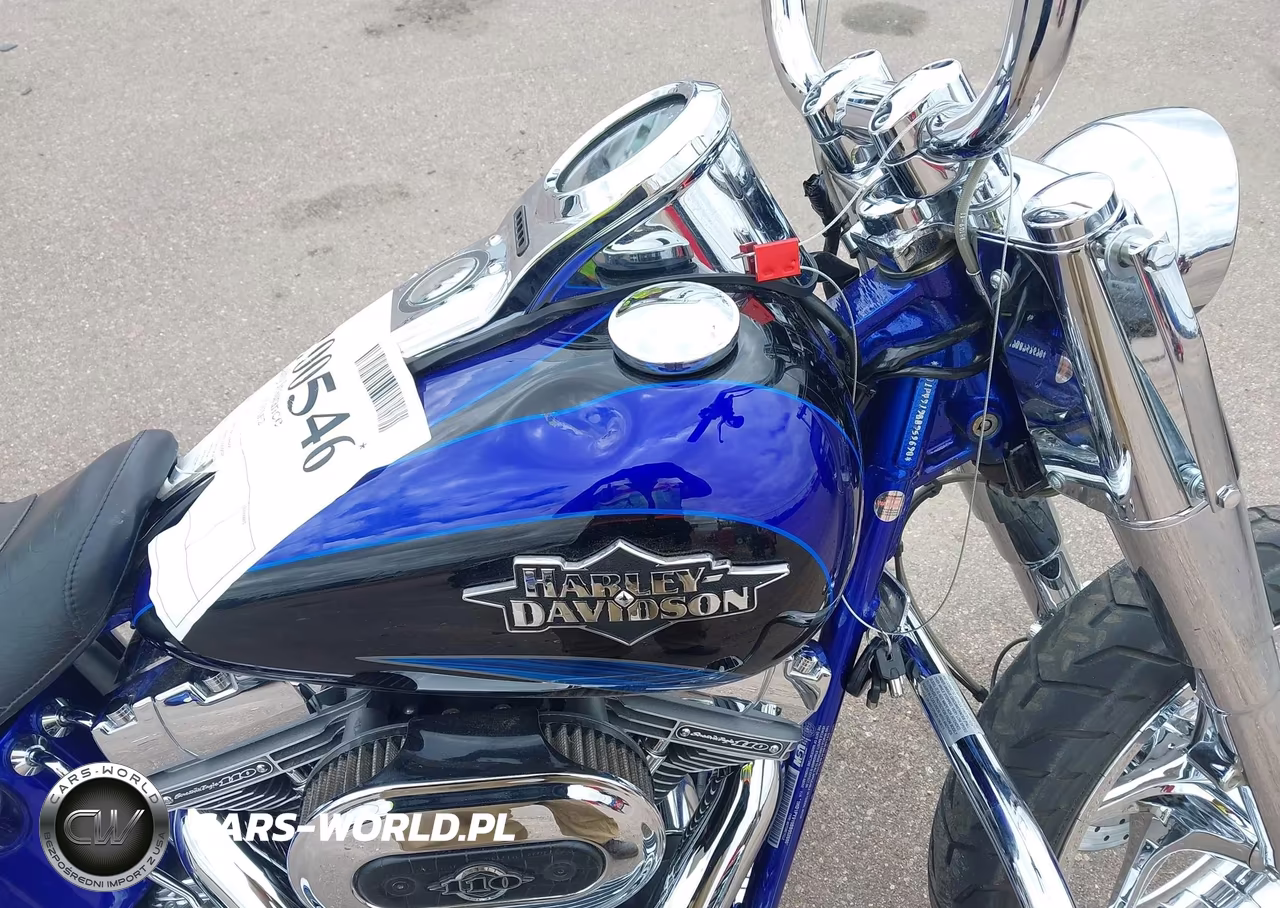 2011 Harley-Davidson Flstse2 VIN:1HD1PY919BB952690 - 17