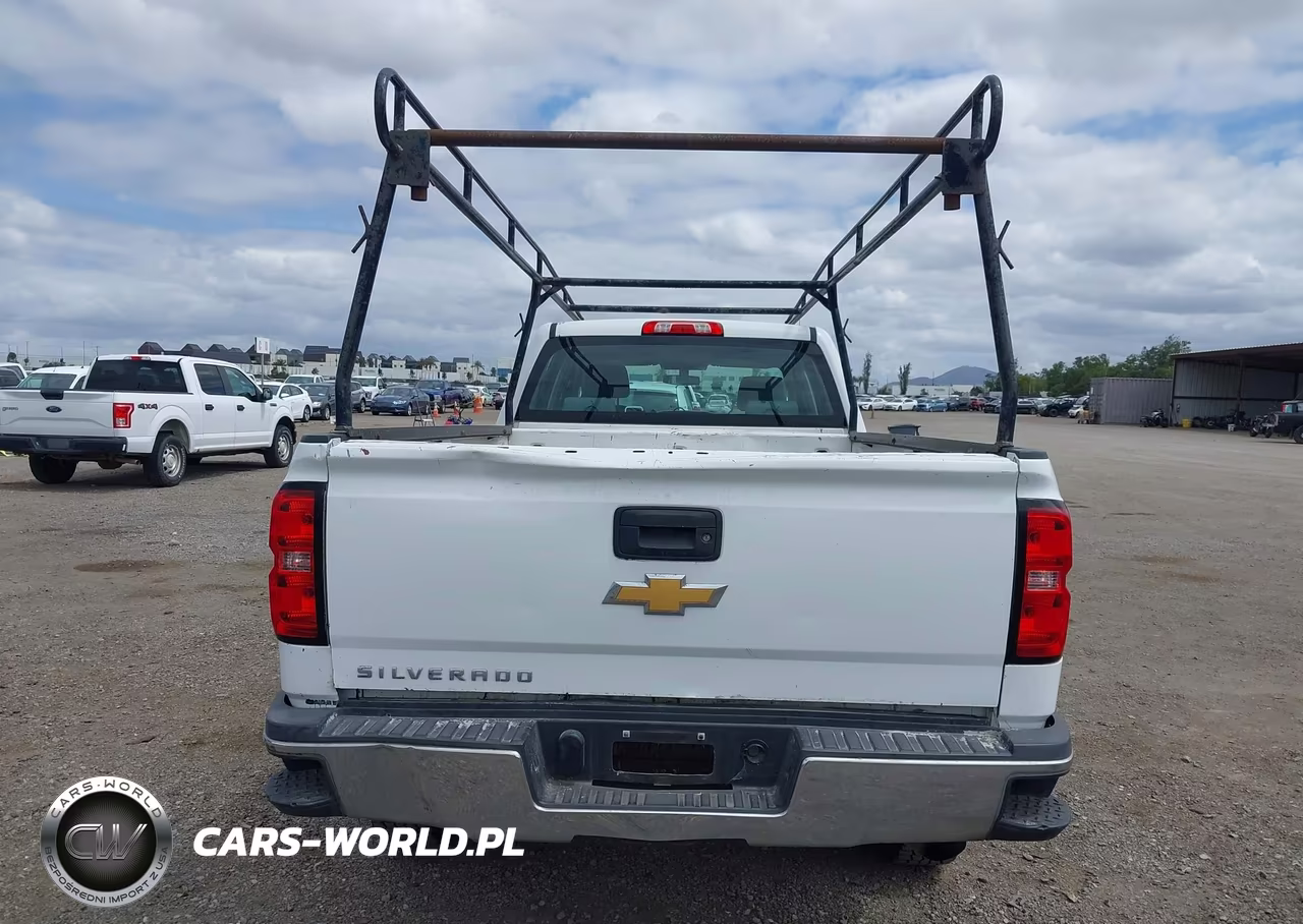 2017 Chevrolet Silverado 2500Hd Wt VIN:1GC1CUEG5HF199760 - 20