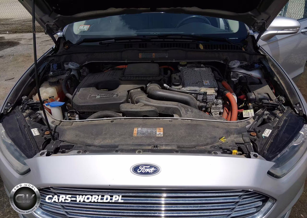 2013 Ford Fusion Energi Se Luxury VIN:3FA6P0PU4DR365646 - 10
