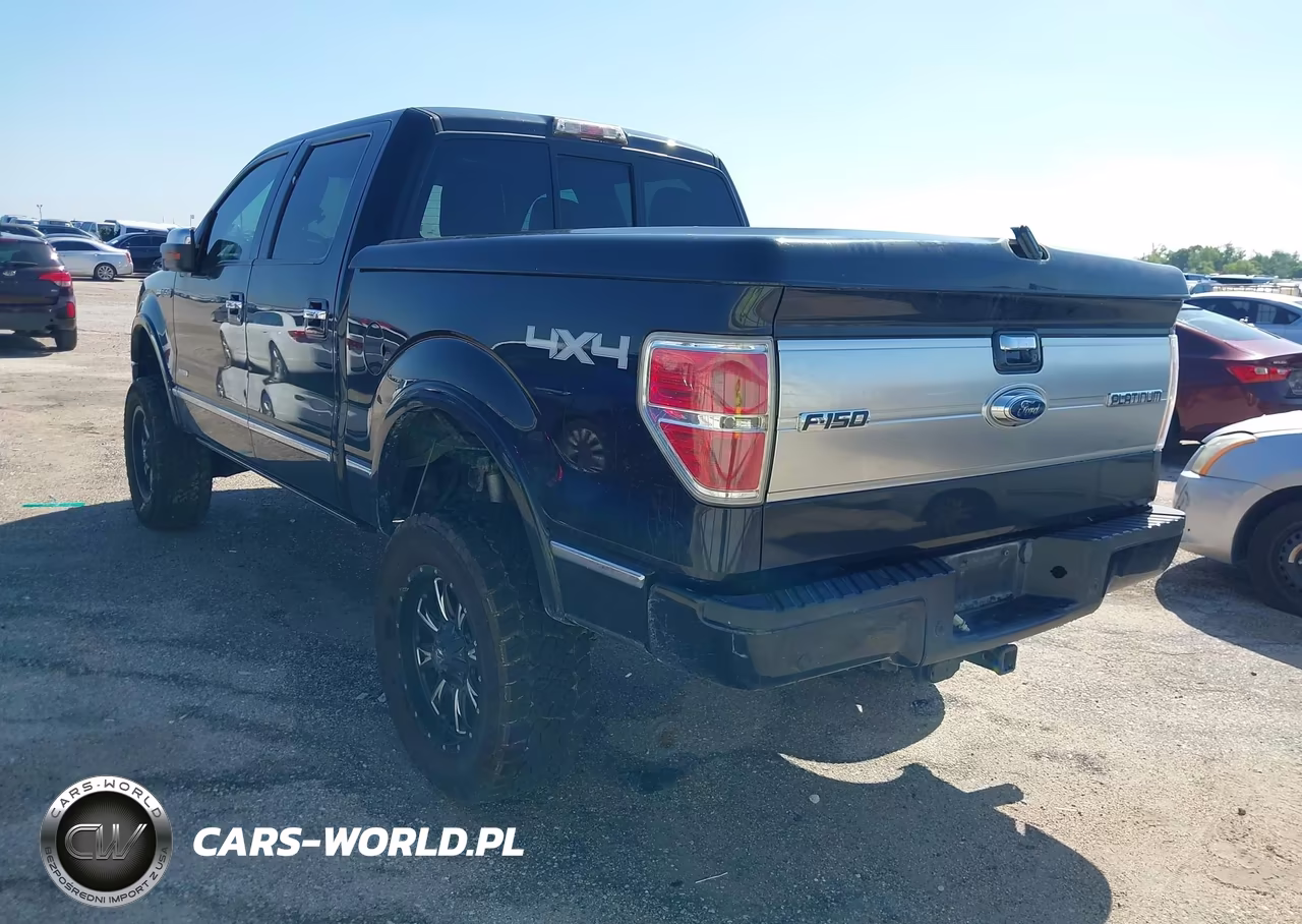 2013 Ford F-150 Platinum VIN:1FTFW1ET7DFB19393 - 3