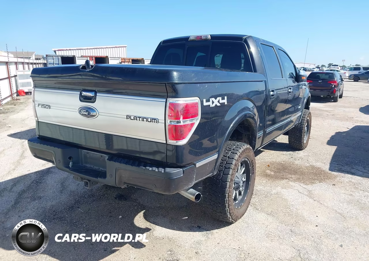 2013 Ford F-150 Platinum VIN:1FTFW1ET7DFB19393 - 4