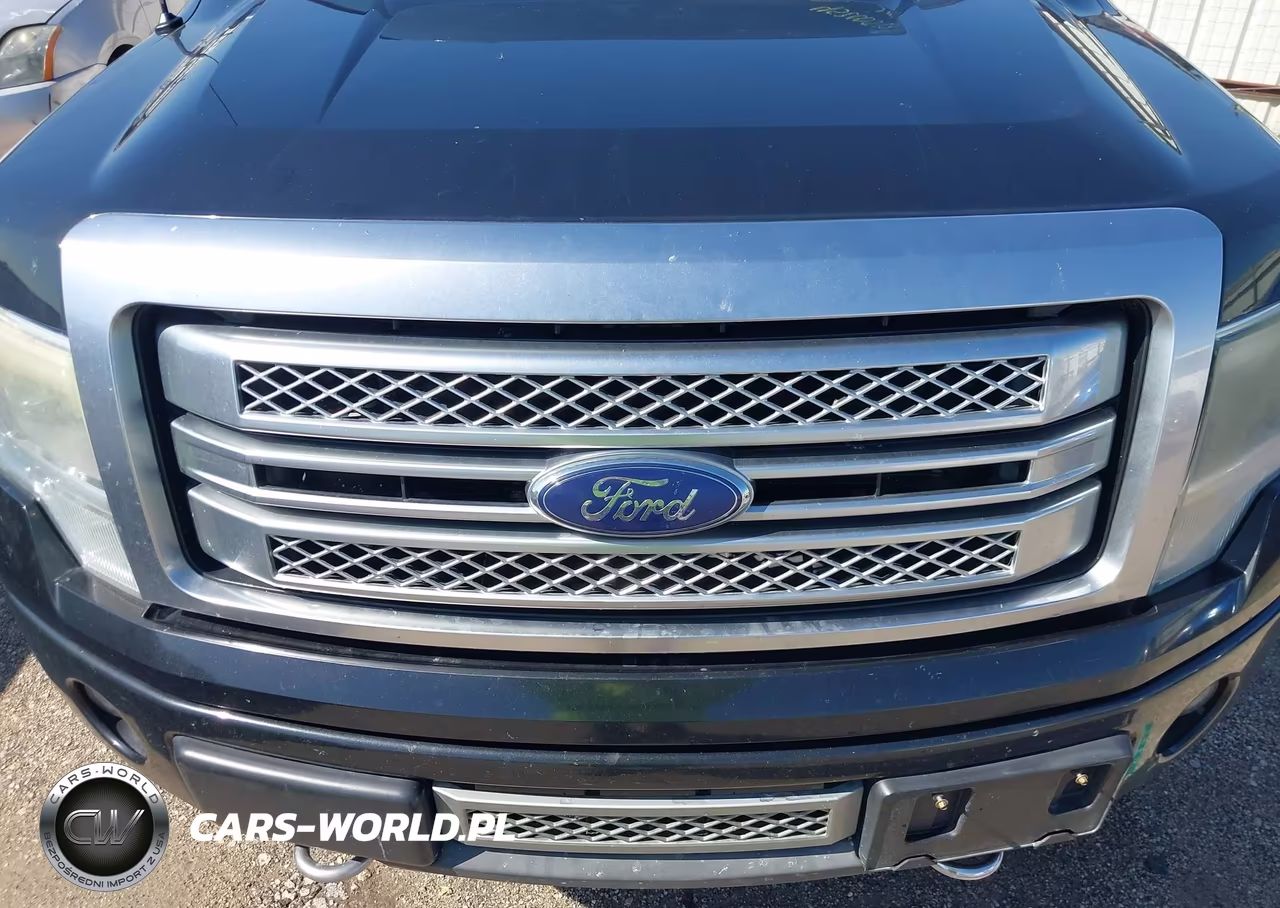 2013 Ford F-150 Platinum VIN:1FTFW1ET7DFB19393 - 6