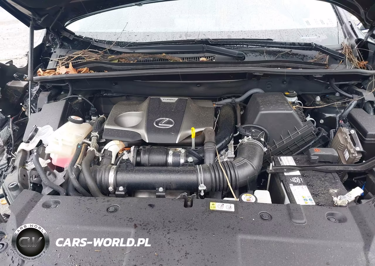 2021 Lexus Nx 300 VIN:JTJGARDZ1M5031403 - 10