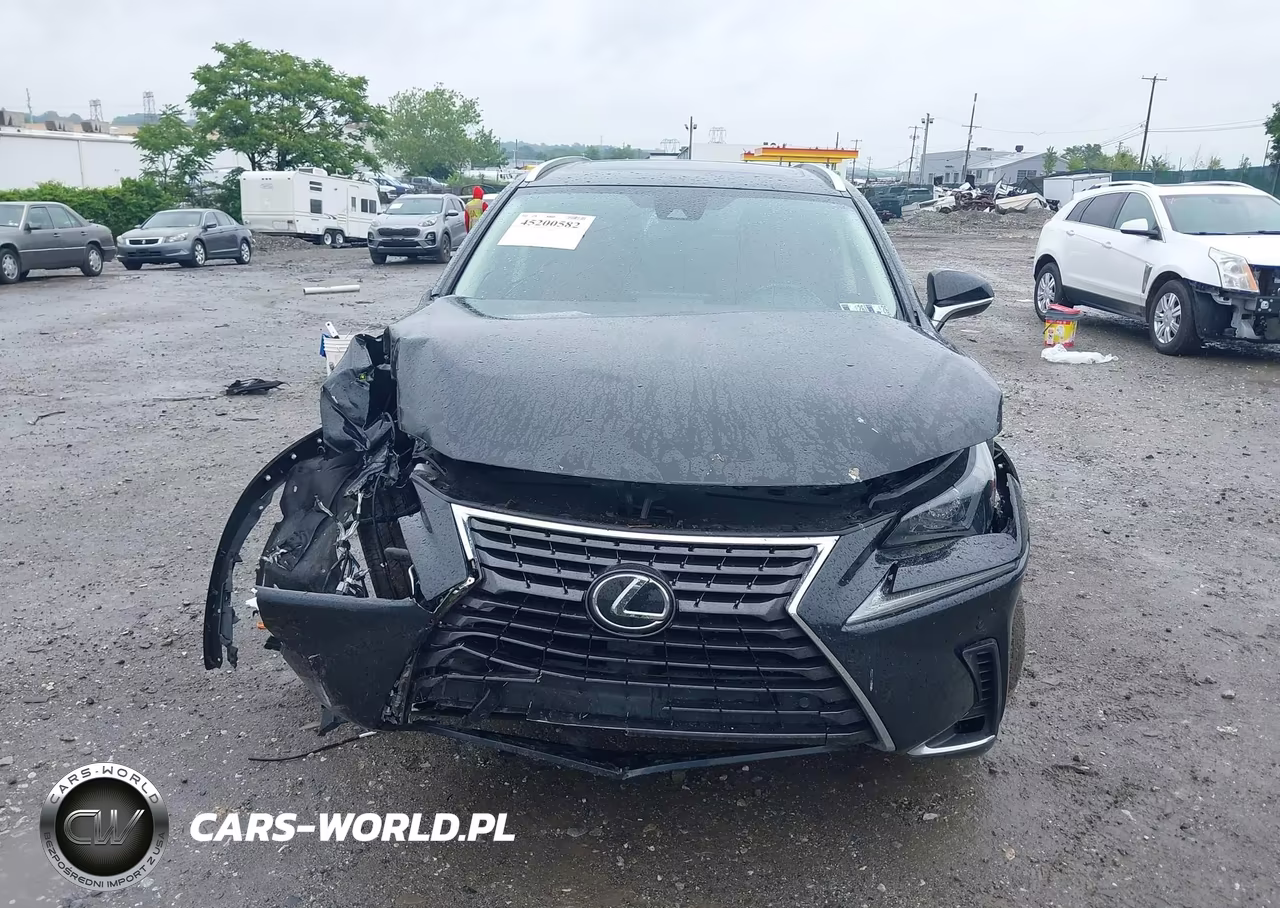 2021 Lexus Nx 300 VIN:JTJGARDZ1M5031403 - 11