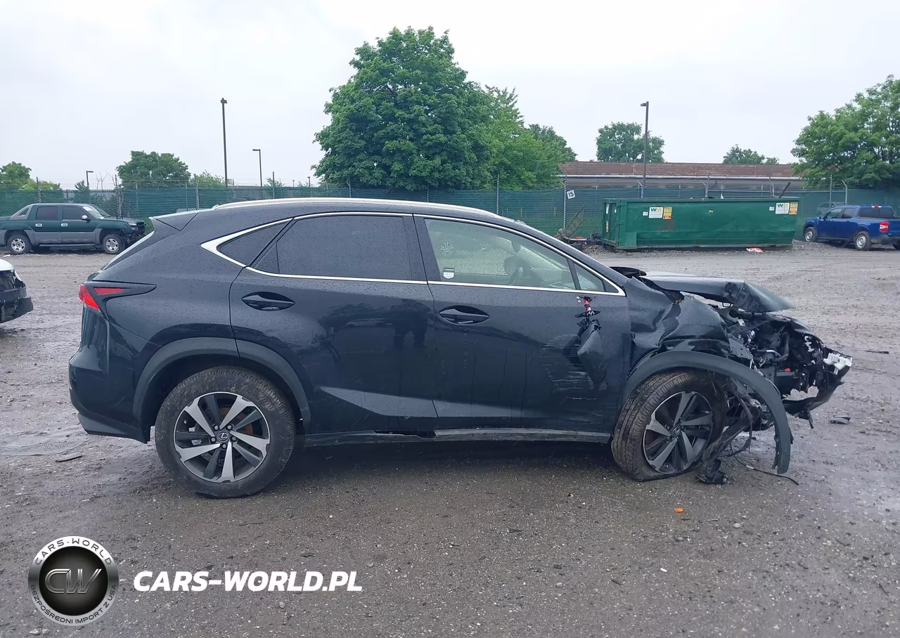 2021 Lexus Nx 300 VIN:JTJGARDZ1M5031403 - 12