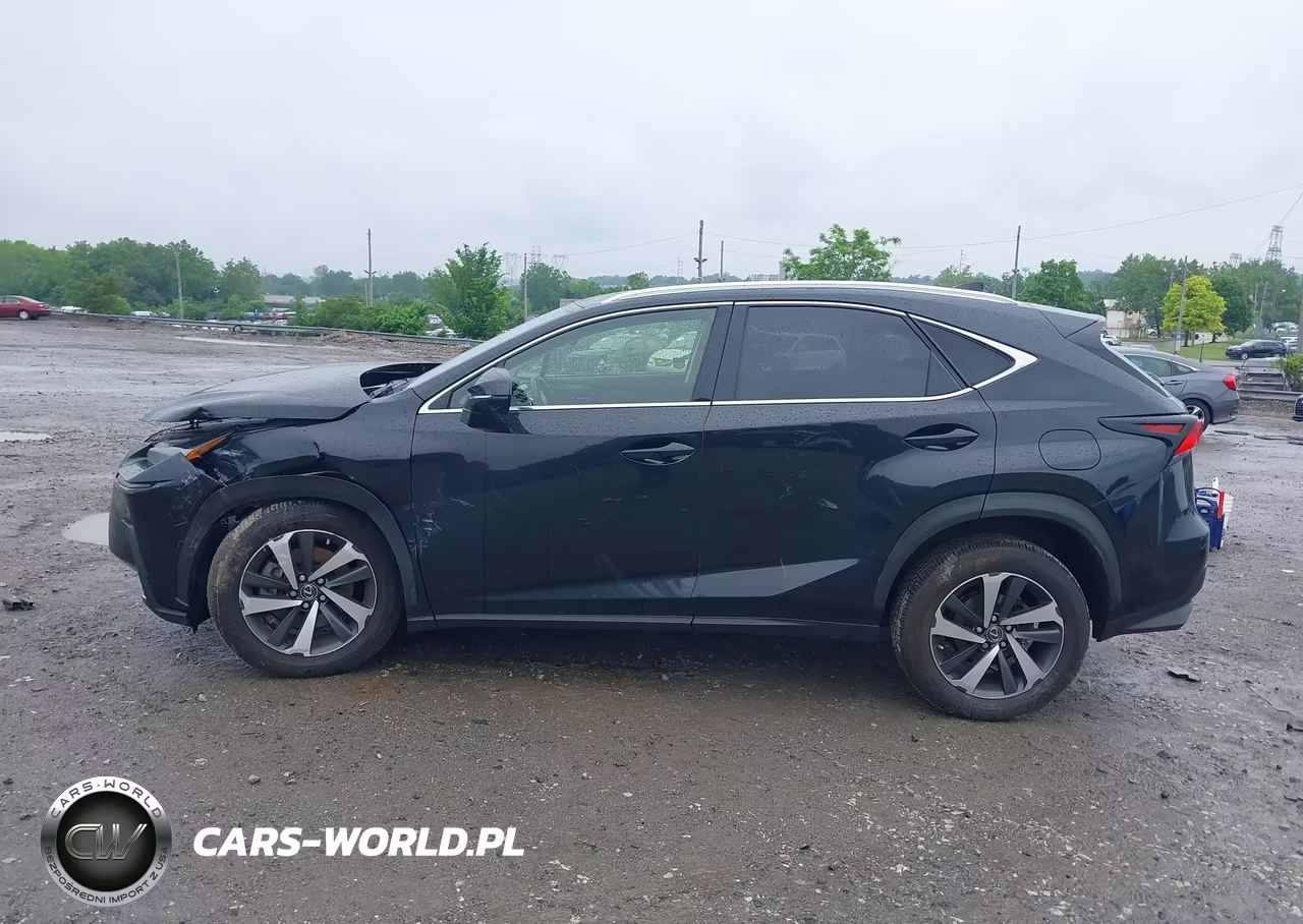 2021 Lexus Nx 300 VIN:JTJGARDZ1M5031403 - 13