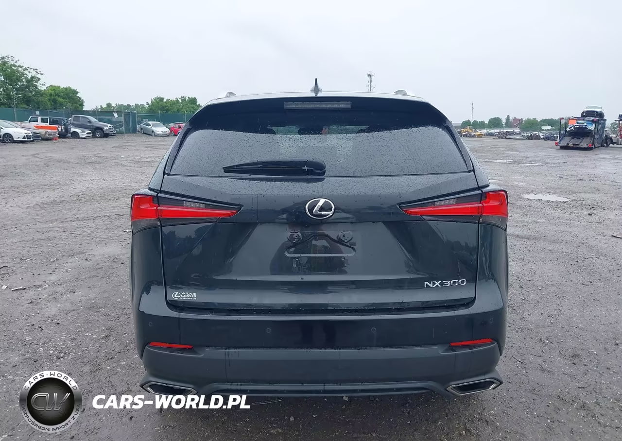 2021 Lexus Nx 300 VIN:JTJGARDZ1M5031403 - 15