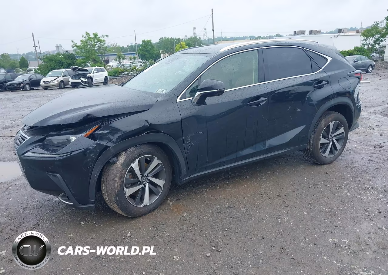 2021 Lexus Nx 300 VIN:JTJGARDZ1M5031403 - 2