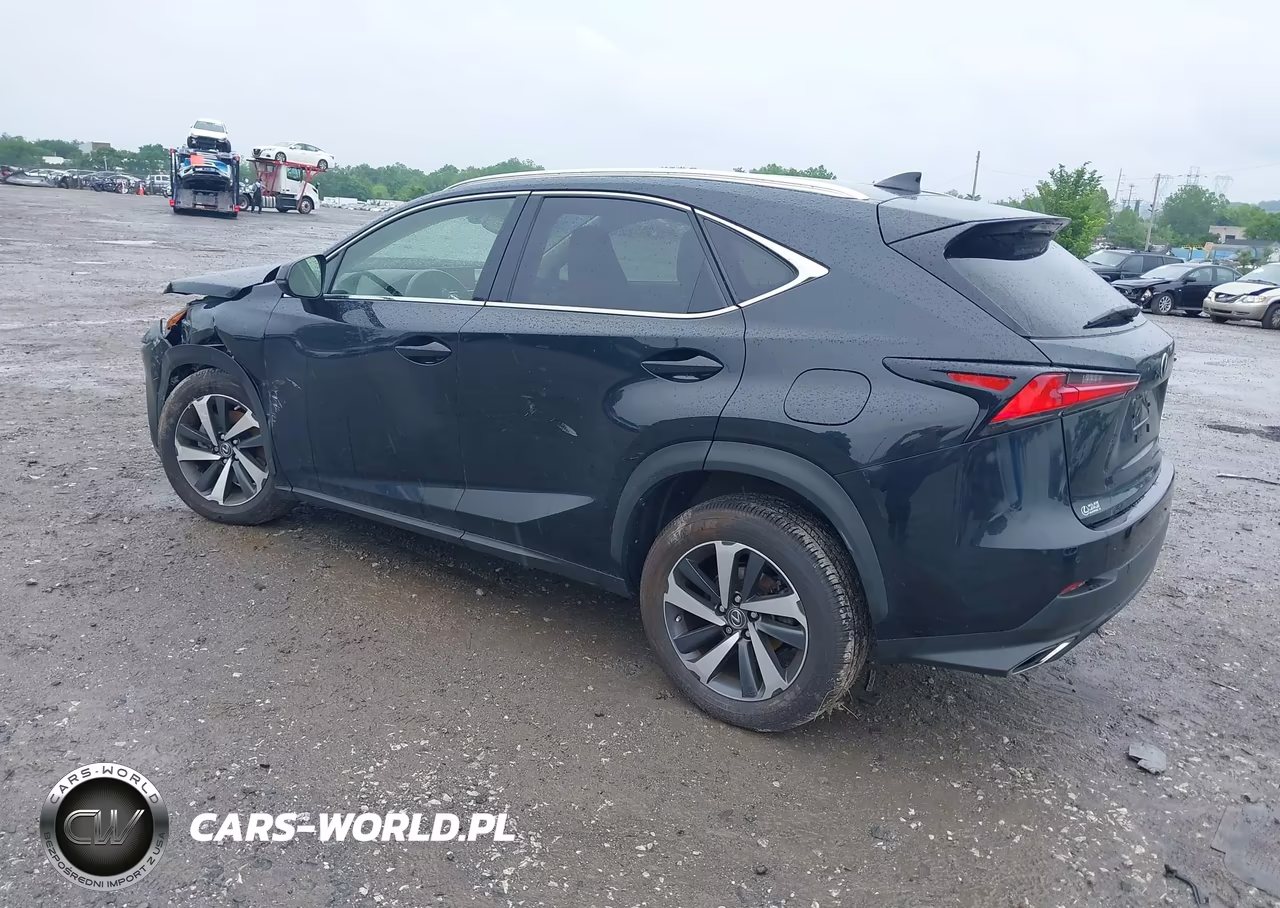 2021 Lexus Nx 300 VIN:JTJGARDZ1M5031403 - 3
