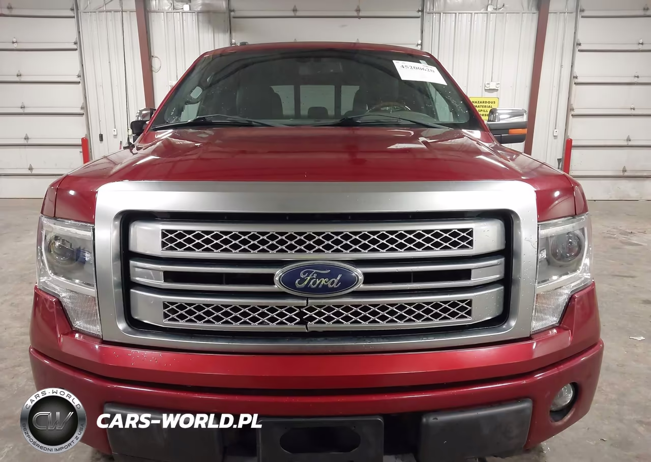 2013 Ford F-150 Platinum VIN:1FTFW1EF3DFC04953 - 12