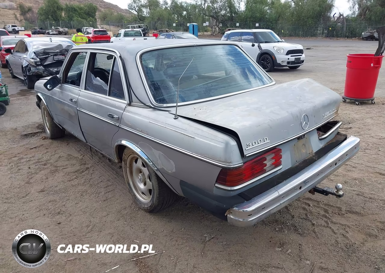 1983 Mercedes-Benz 300 Dt VIN:WDBAB33A4DB030180 - 3