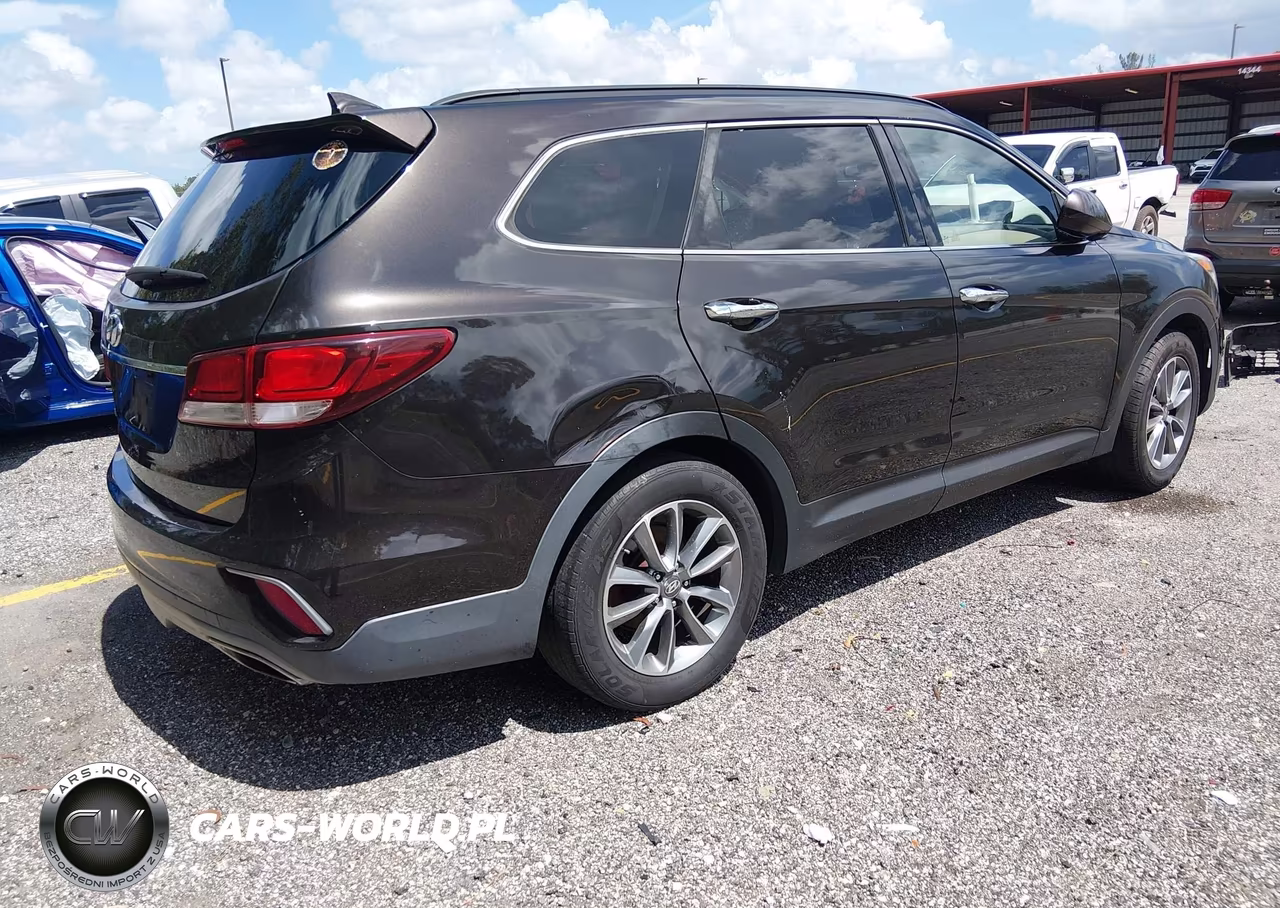 2017 Hyundai Santa Fe Se VIN:KM8SM4HF9HU195318 - 4