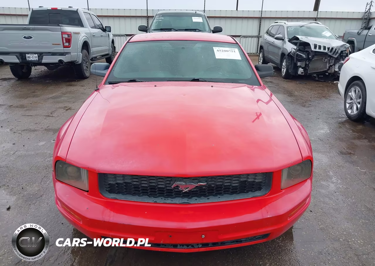 2005 Ford Mustang V6 Deluxe-V6 Premium VIN:1ZVFT80N855226287 - 12