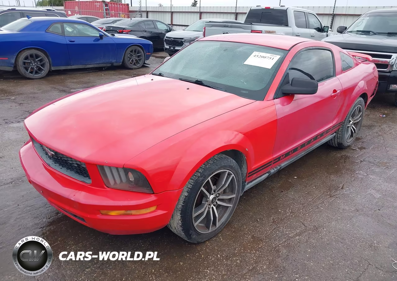2005 Ford Mustang V6 Deluxe-V6 Premium VIN:1ZVFT80N855226287 - 2