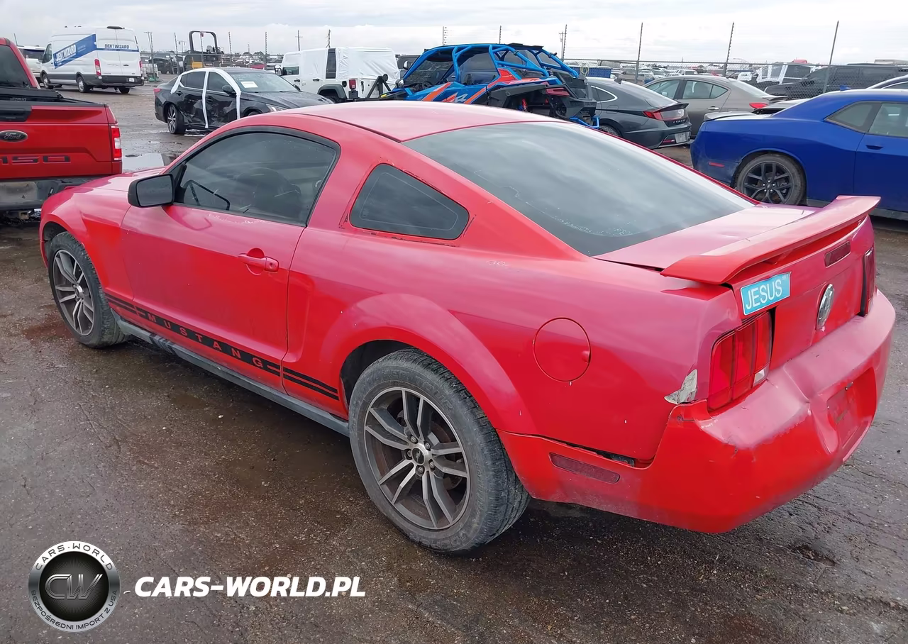 2005 Ford Mustang V6 Deluxe-V6 Premium VIN:1ZVFT80N855226287 - 3
