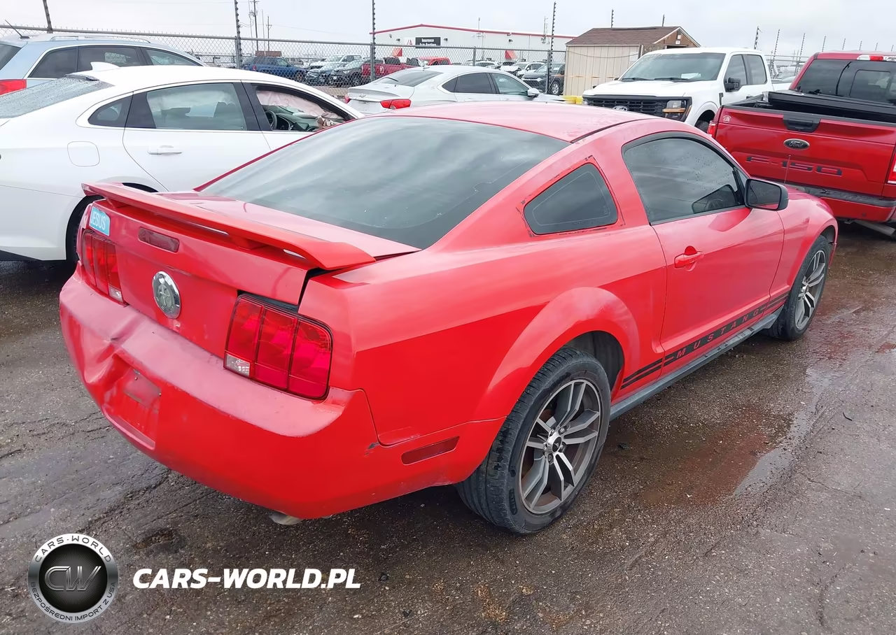 2005 Ford Mustang V6 Deluxe-V6 Premium VIN:1ZVFT80N855226287 - 4