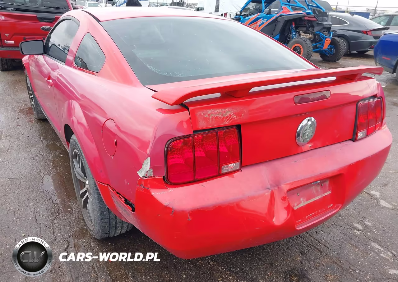2005 Ford Mustang V6 Deluxe-V6 Premium VIN:1ZVFT80N855226287 - 6