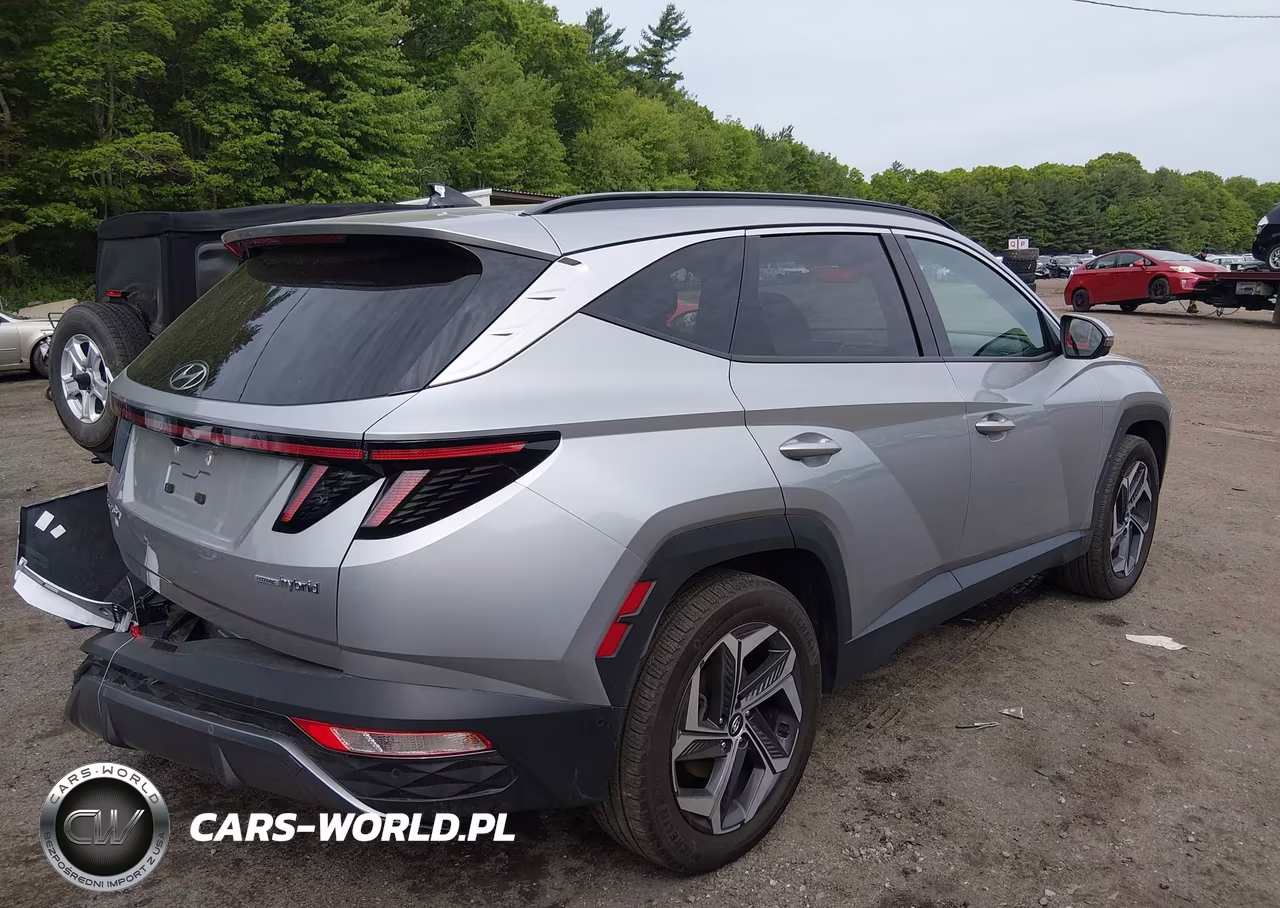 2024 Hyundai Tucson Hybrid Limited VIN:KM8JECD19RU146487 - 4