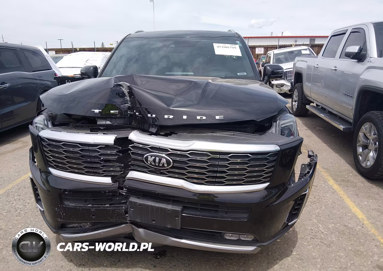 2021 Kia Telluride Sx VIN:5XYP5DHC6MG134114 - 12