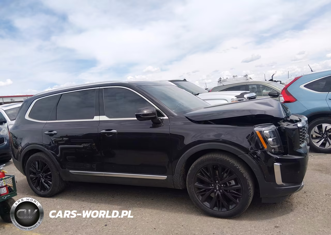 2021 Kia Telluride Sx VIN:5XYP5DHC6MG134114 - 13