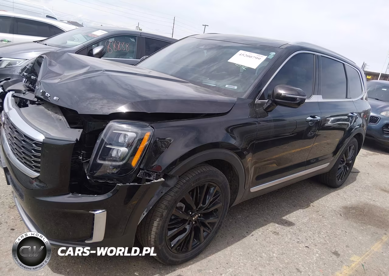 2021 Kia Telluride Sx VIN:5XYP5DHC6MG134114 - 14