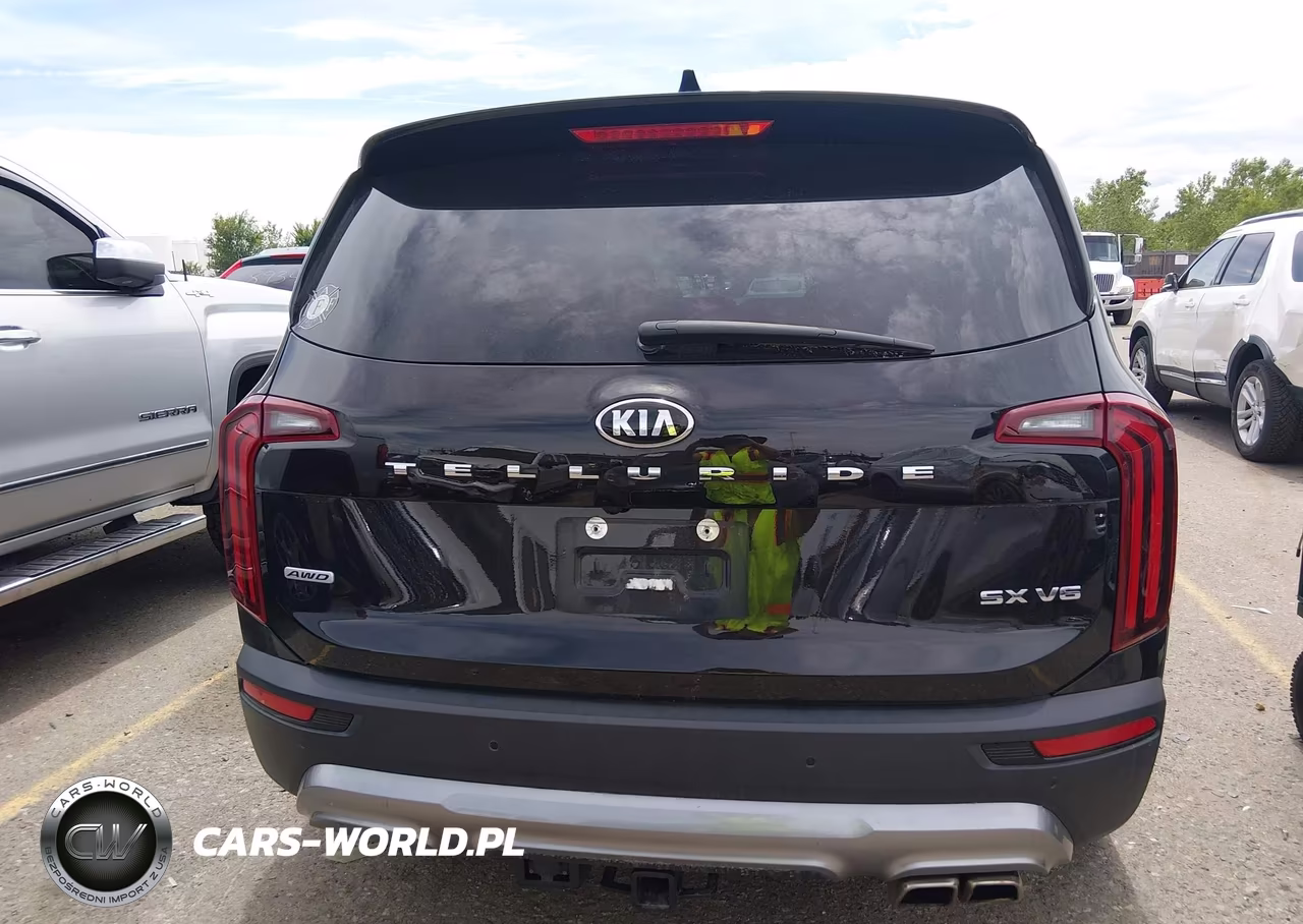 2021 Kia Telluride Sx VIN:5XYP5DHC6MG134114 - 16