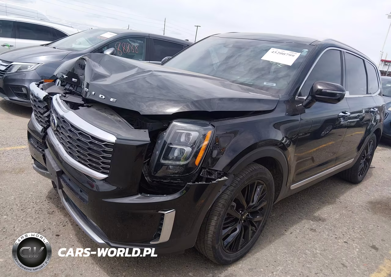2021 Kia Telluride Sx VIN:5XYP5DHC6MG134114 - 2